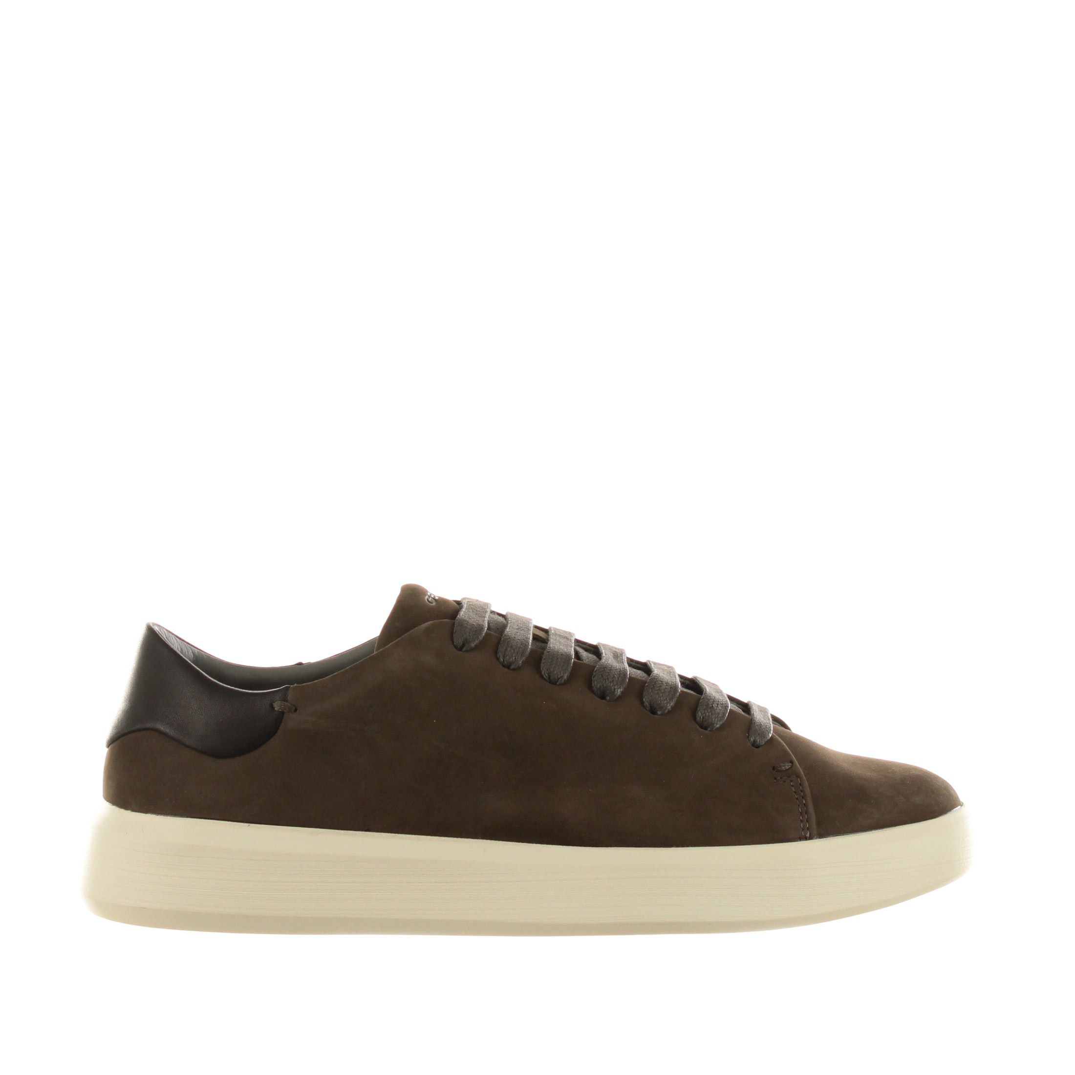 Geox sneaker velletri in nabuk da uomo