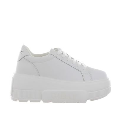 Sneaker addict plateau in ecopelle